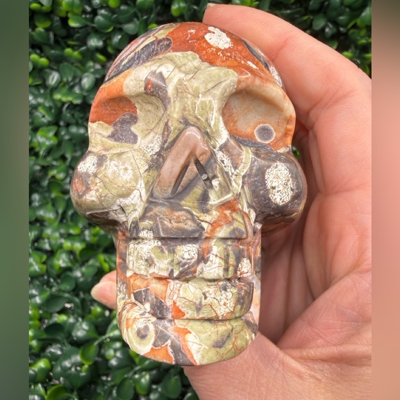 Other - Money Agate (Indonesian Bloodstone) Skull Carving
